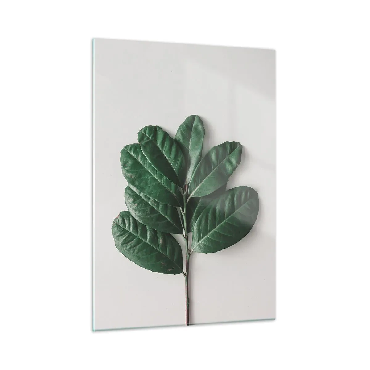 Tablou pe sticlă - Desenul naturii însăși - 50x70 cm