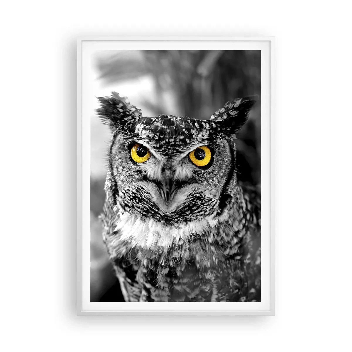 Poster în ramă albă - Nimic nu poate fi ascuns - 70x100 cm