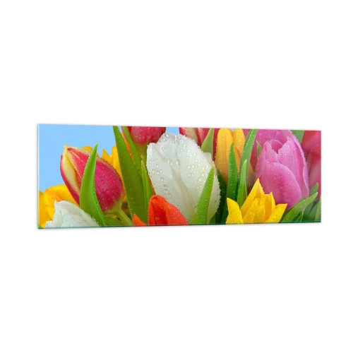 Tablou pe sticlă - Un curcubeu floral în picături de rouă - 160x50 cm