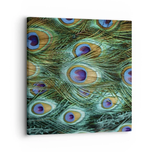 Tablou pe pânză - O privire cu ochi de păun - 30x30 cm