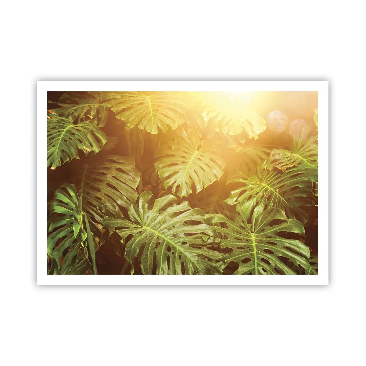 Poster - Poftiți în verde - 100x70 cm