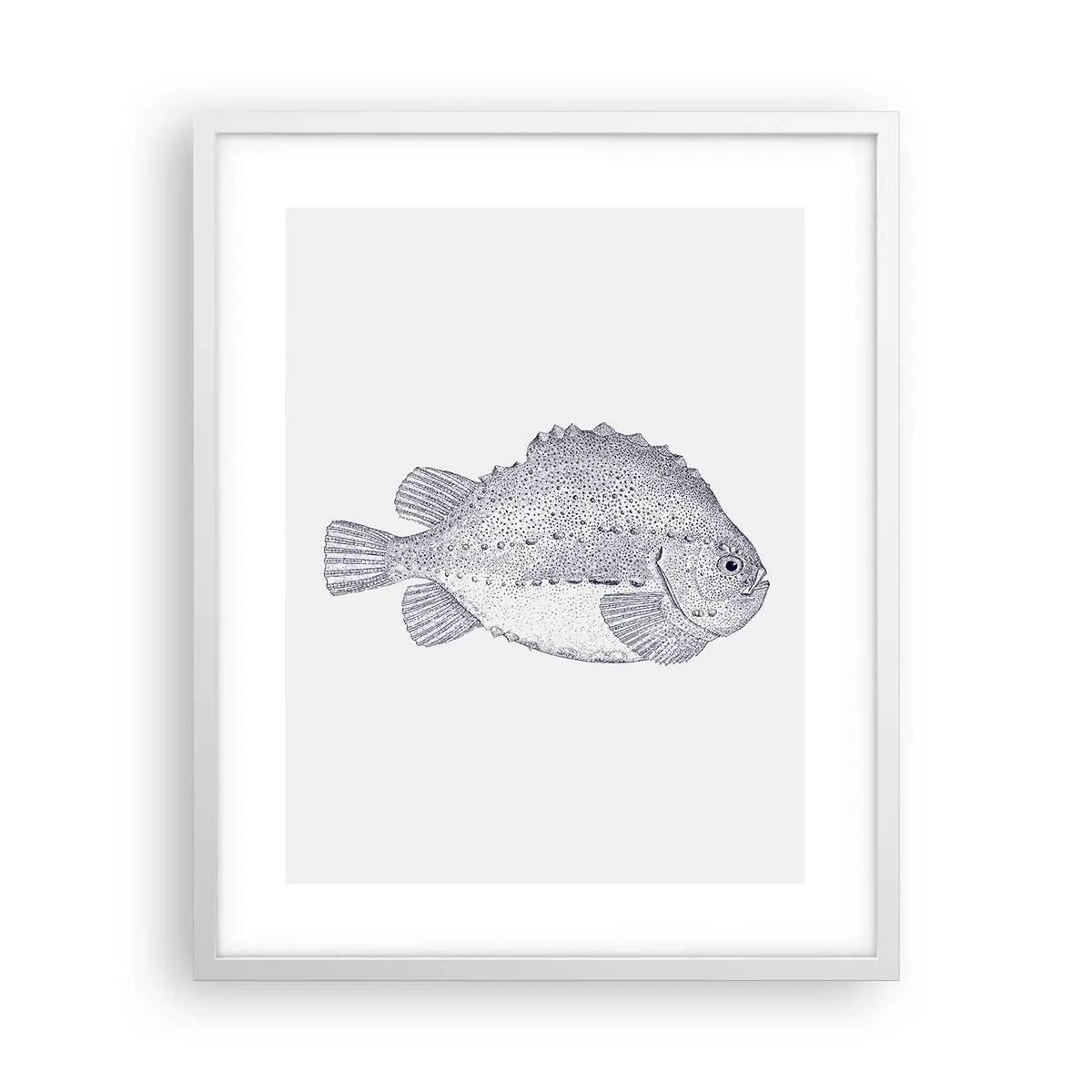 Poster în ramă albă - Pentru albumul naturalistului - 40x50 cm