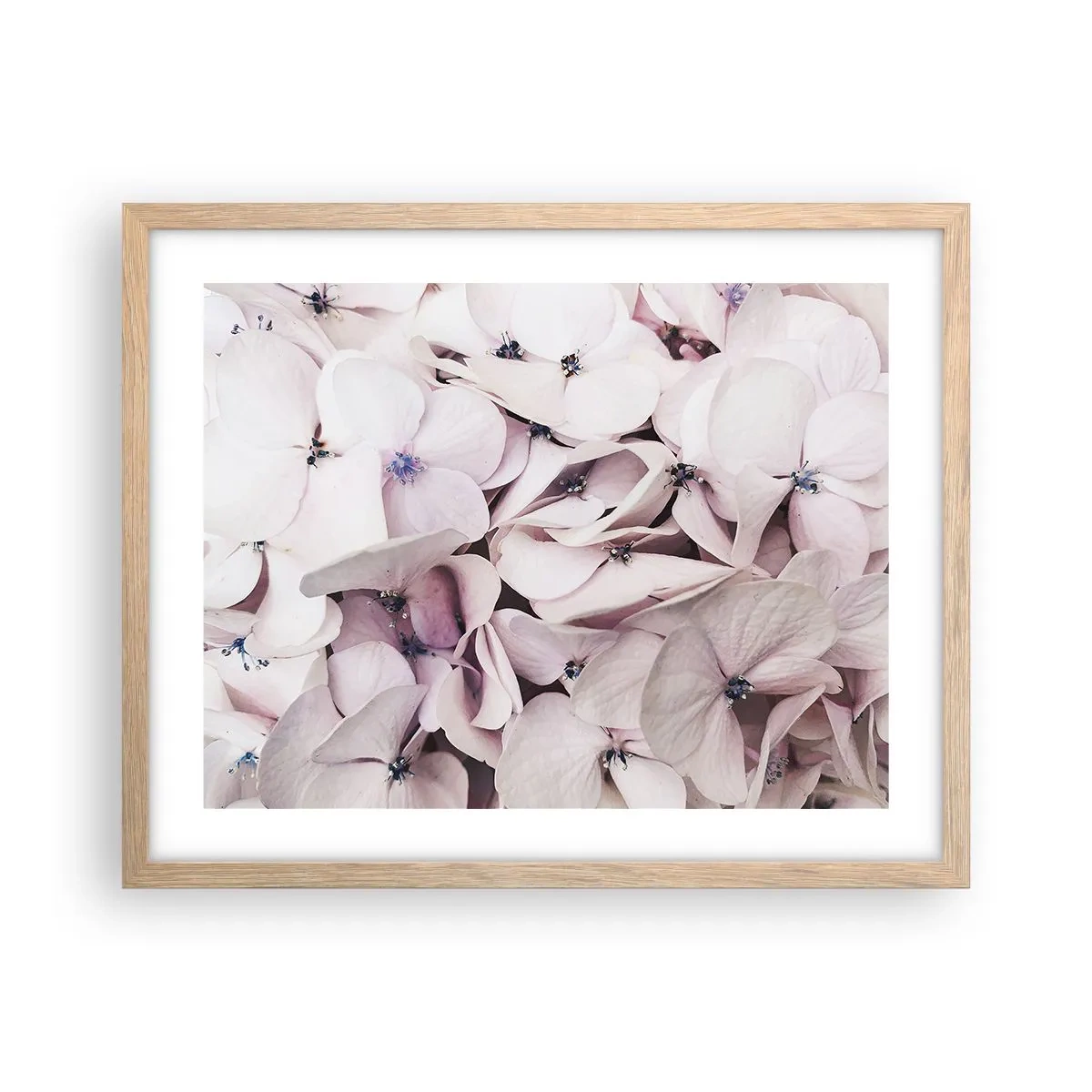 Poster în ramă de stejar deschis - Într-un potop de flori - 50x40 cm