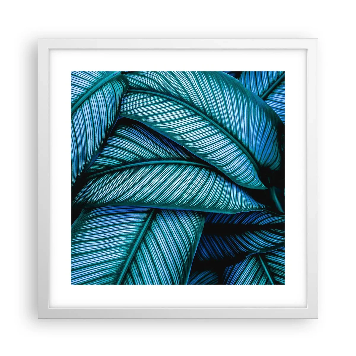 Poster în ramă albă - Linii de viață - 40x40 cm