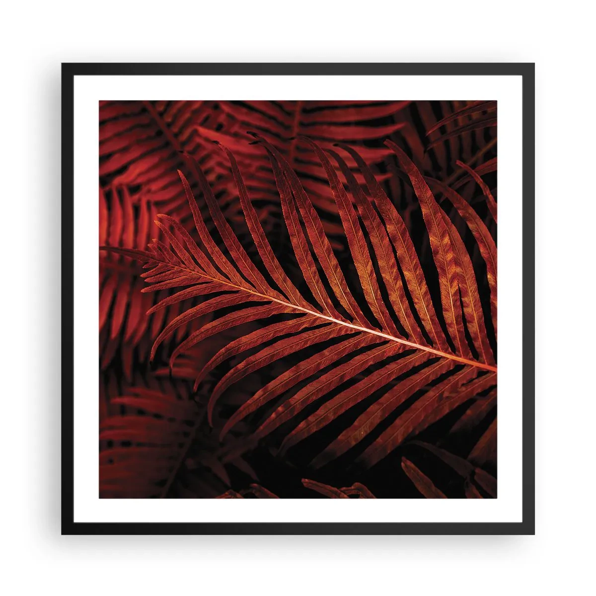 Poster în ramă neagră - Ardoarea vieții - 60x60 cm