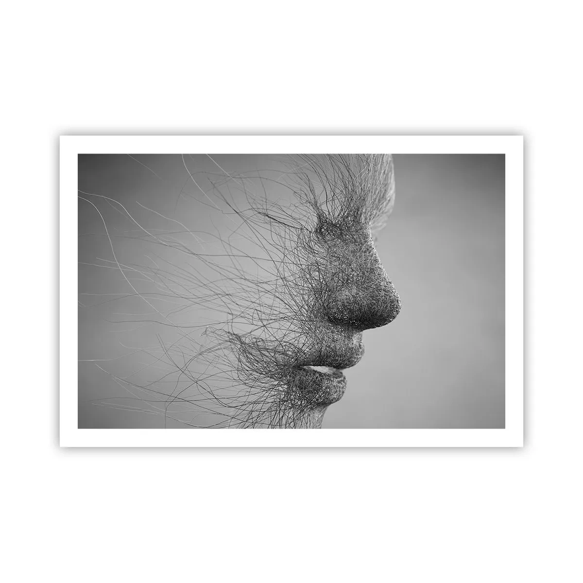 Poster - Spiritul vântului - 91x61 cm