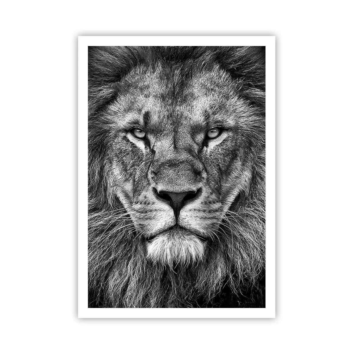 Poster - În ținuta de încoronare - 70x100 cm
