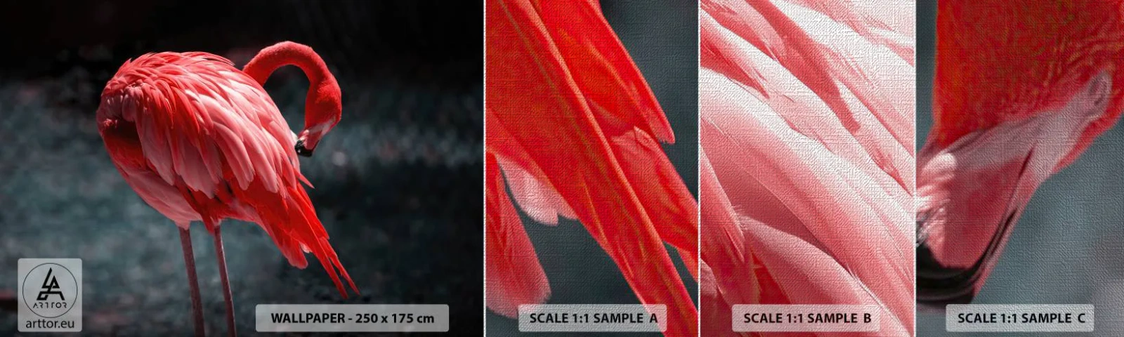 Mostră tapet Premium Canvas - Poemul purpuriu al naturii - Flamingo, Pasăre, Natură - 100x30 cm