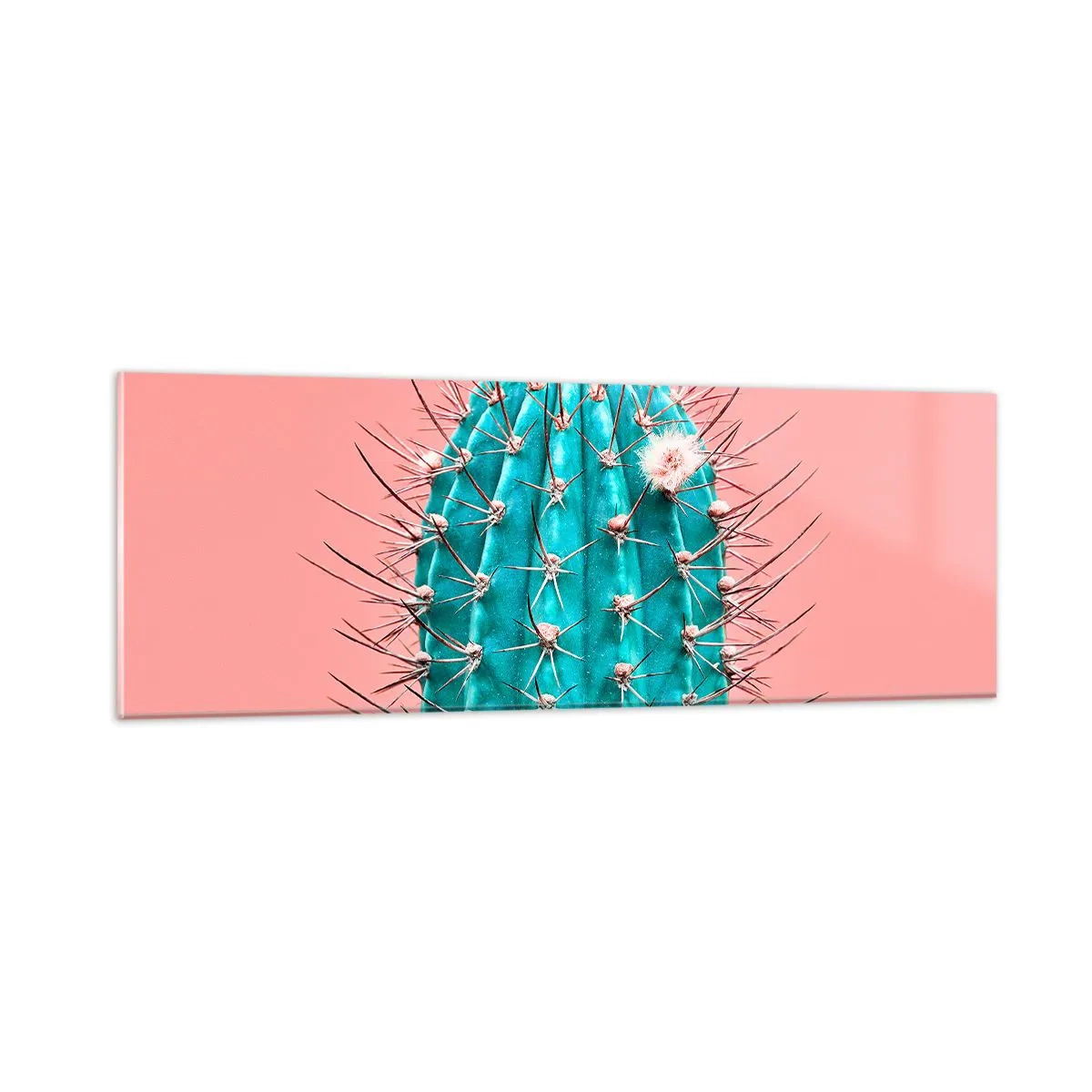 Tablou pe sticlă - Doar privește - 90x30 cm