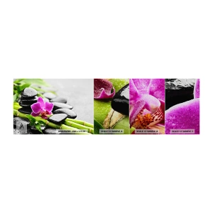 Mostră tapet Premium Sand - Într-un echilibru pașnic - Flori, Orhidee, Orhidee - 100x30 cm
