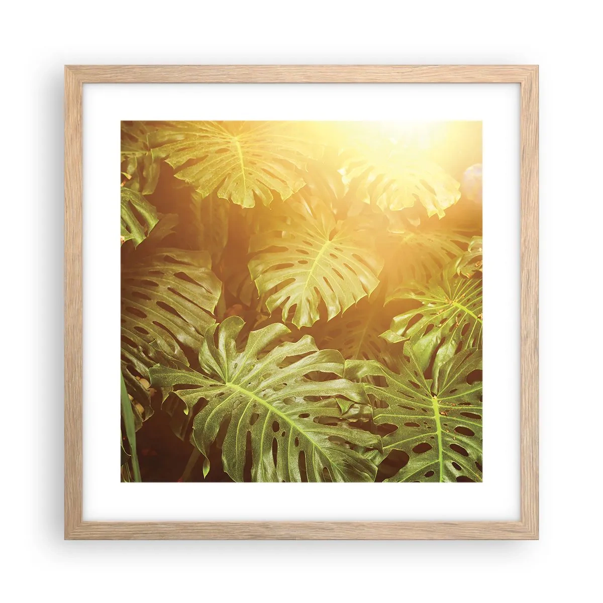 Poster în ramă de stejar deschis - Poftiți în verde - 40x40 cm