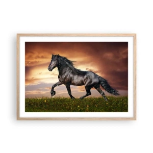 Poster în ramă de stejar deschis - Prințul negru - 70x50 cm