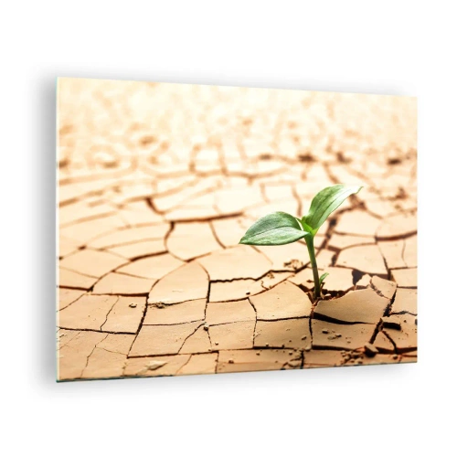 Tablou pe sticlă - O plantă tânără care crește din pământ uscat și crăpat - 70x50cm - Forța irepresibilă a vieții - Decorațiune modernă pentru perete pentru living și dormitor ARTTOR