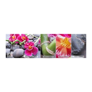 Mostră tapet Premium Canvas - Frig și căldură - Flori, Pietre, Orhidee - 100x30 cm