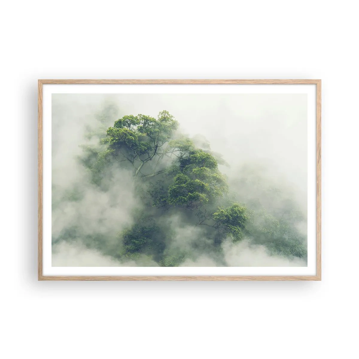 Poster în ramă de stejar deschis - Înfășurate în ceață - 100x70 cm