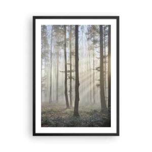 Poster în ramă neagră - O dimineață cețoasă în pădure cu raze de soare - 50x70cm - Ceața s-a trezit și ea - Decorațiune modernă pentru perete pentru living și dormitor ARTTOR