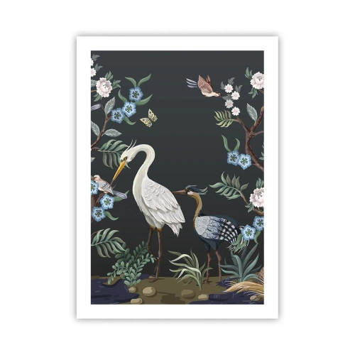 Poster - Parada păsărilor - 50x70 cm