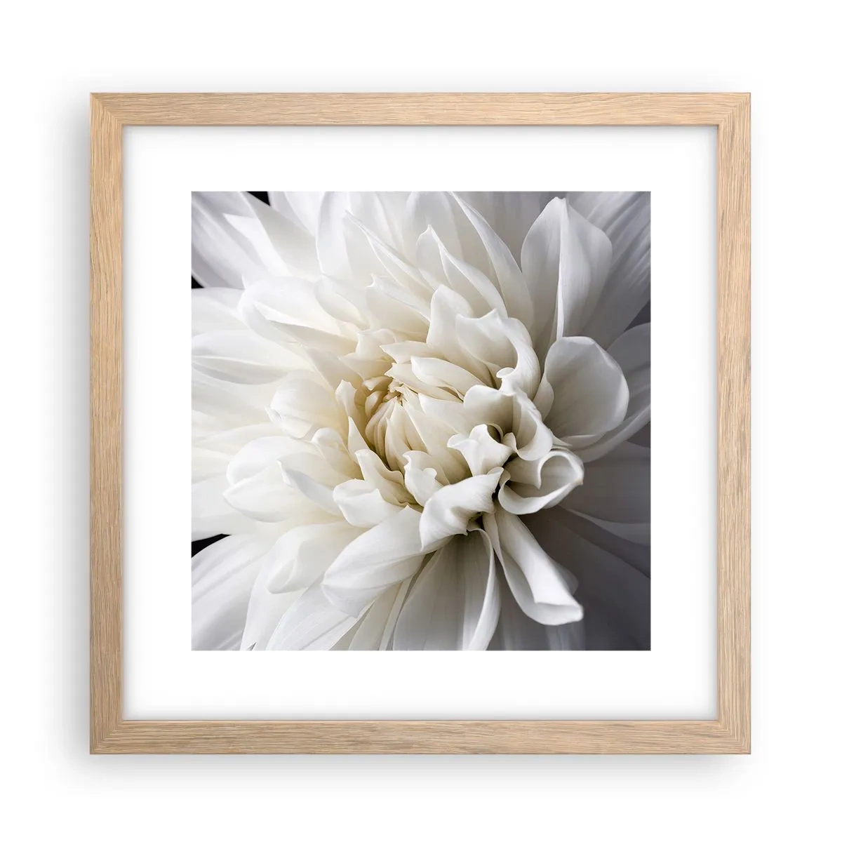 Poster în ramă de stejar deschis - Dimineața miresei - 30x30 cm