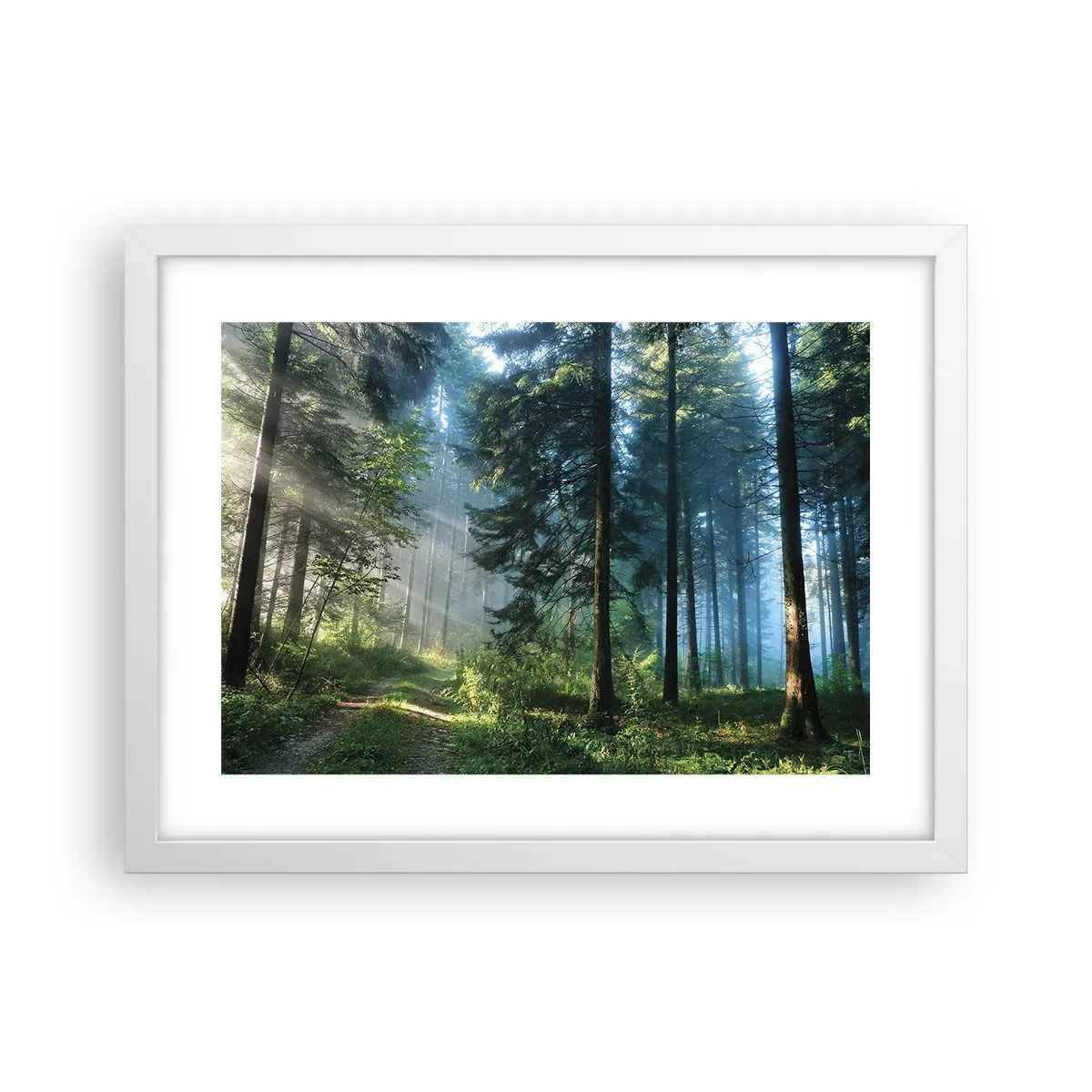 Poster în ramă albă - Strălucirea de dimineață - 40x30 cm