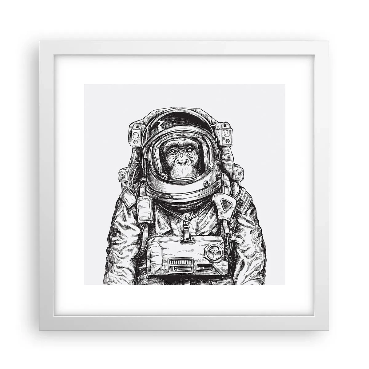 Poster în ramă albă - Evoluție alternativă - 30x30 cm