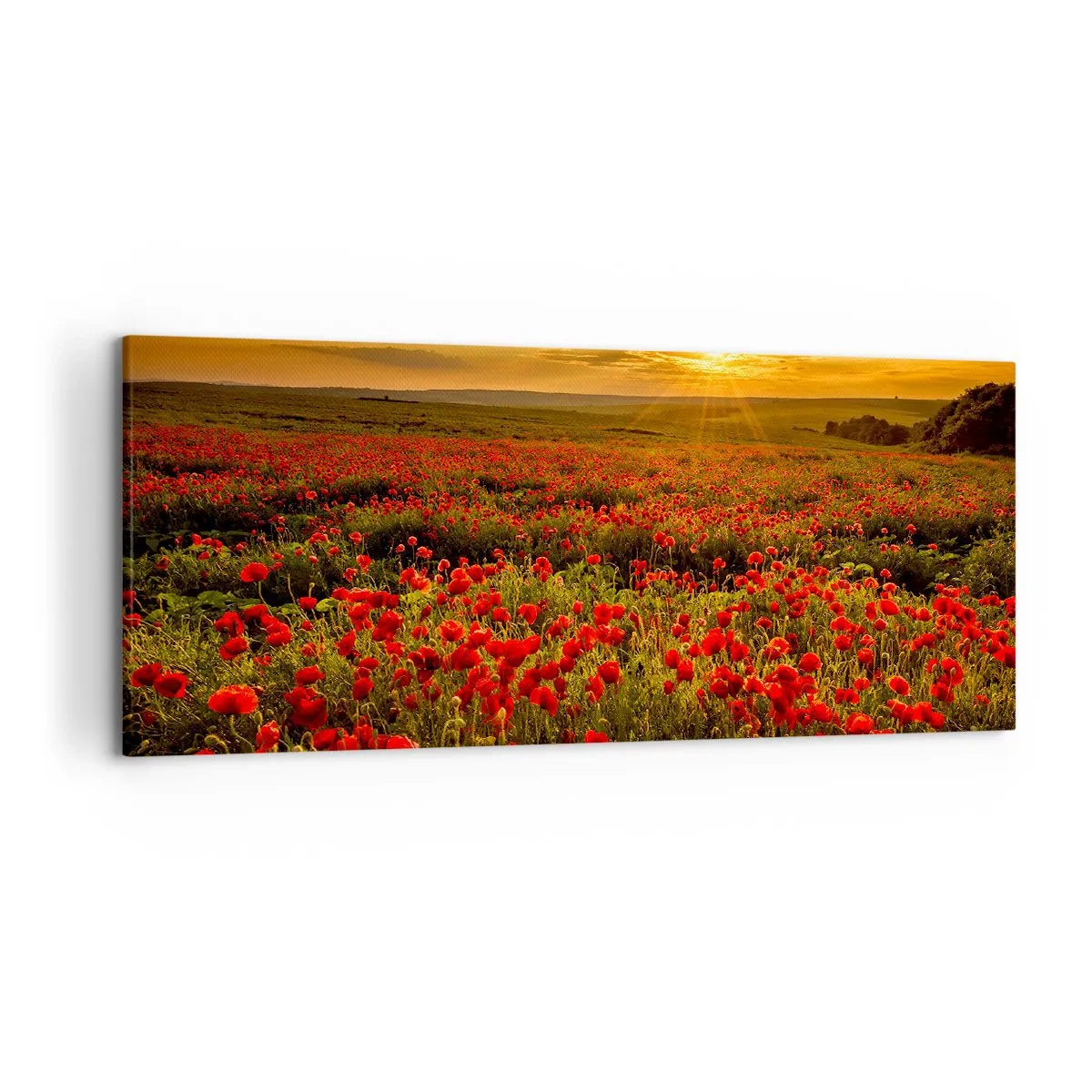 Tablou pe pânză - Printre valuri de pajiști care zumzăie, printre potop de flori - 120x50 cm