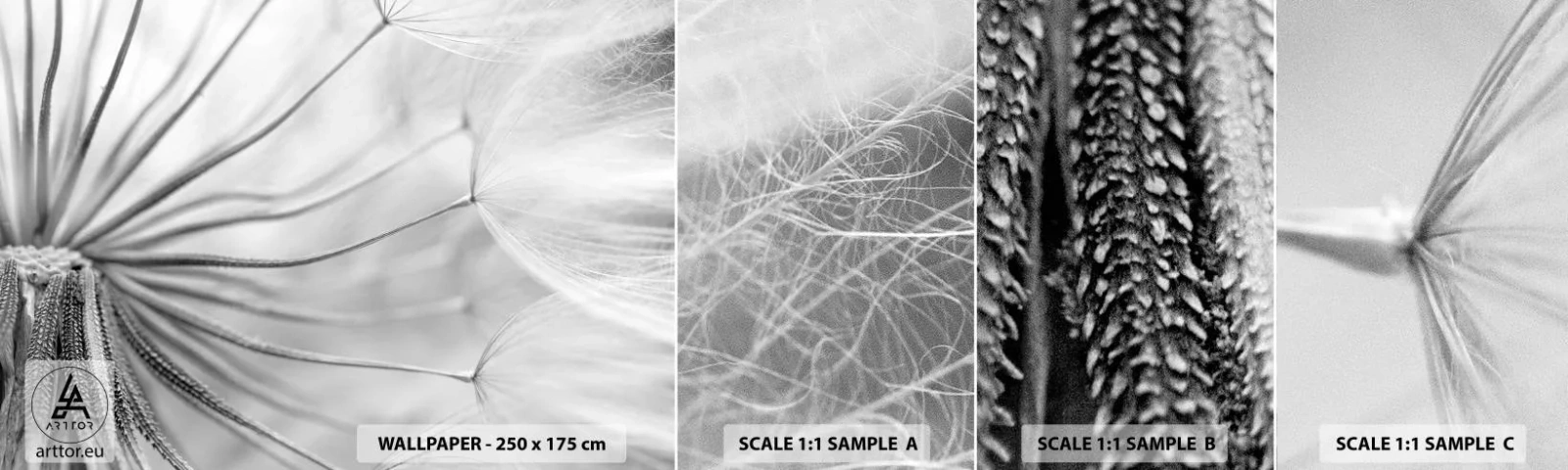 Mostră tapet autocolant Deluxe Sticker - Suflarea zmeilor - Minimalism, Delicat, Floare - 100x30 cm