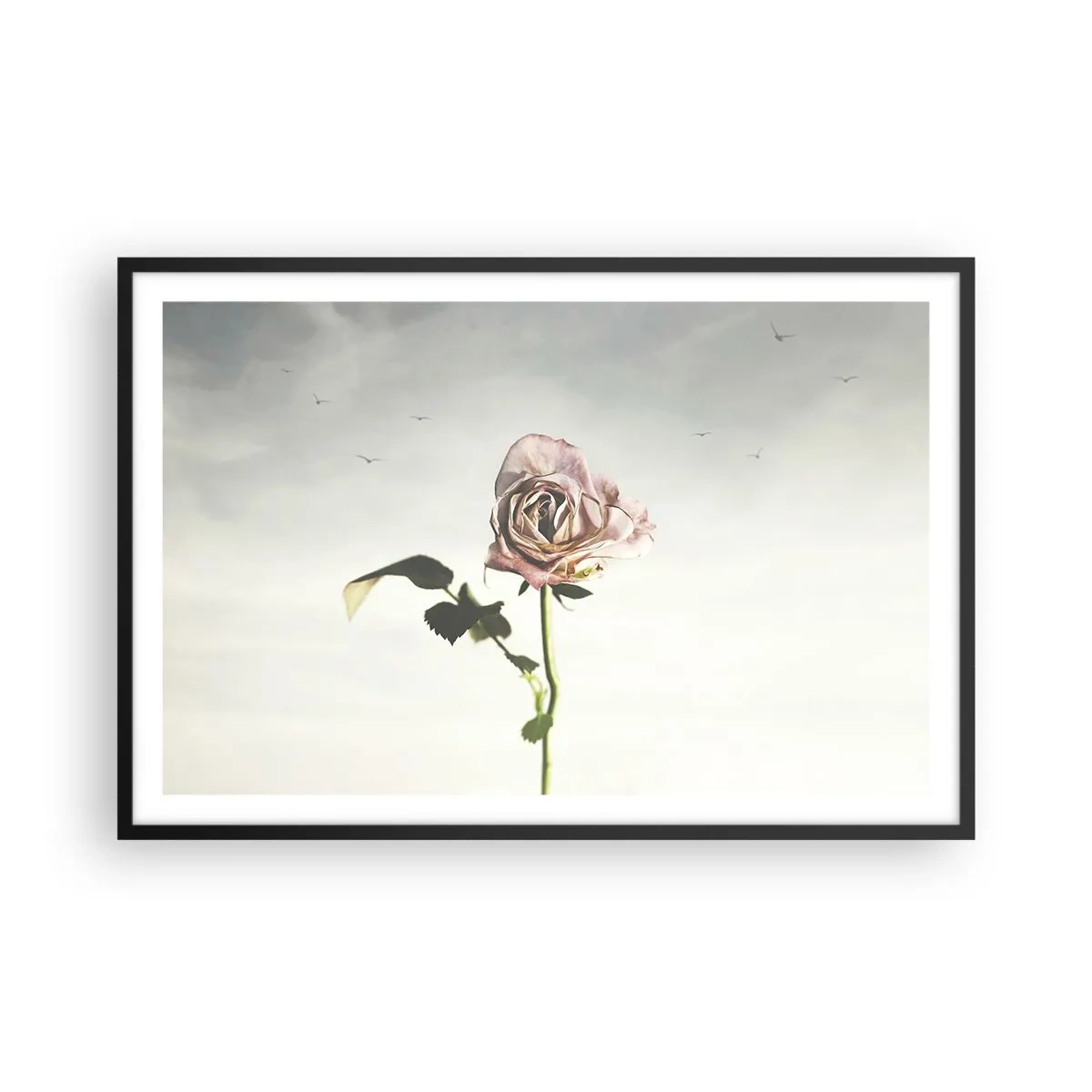 Poster în ramă neagră - Primăvara binevenită - 91x61 cm