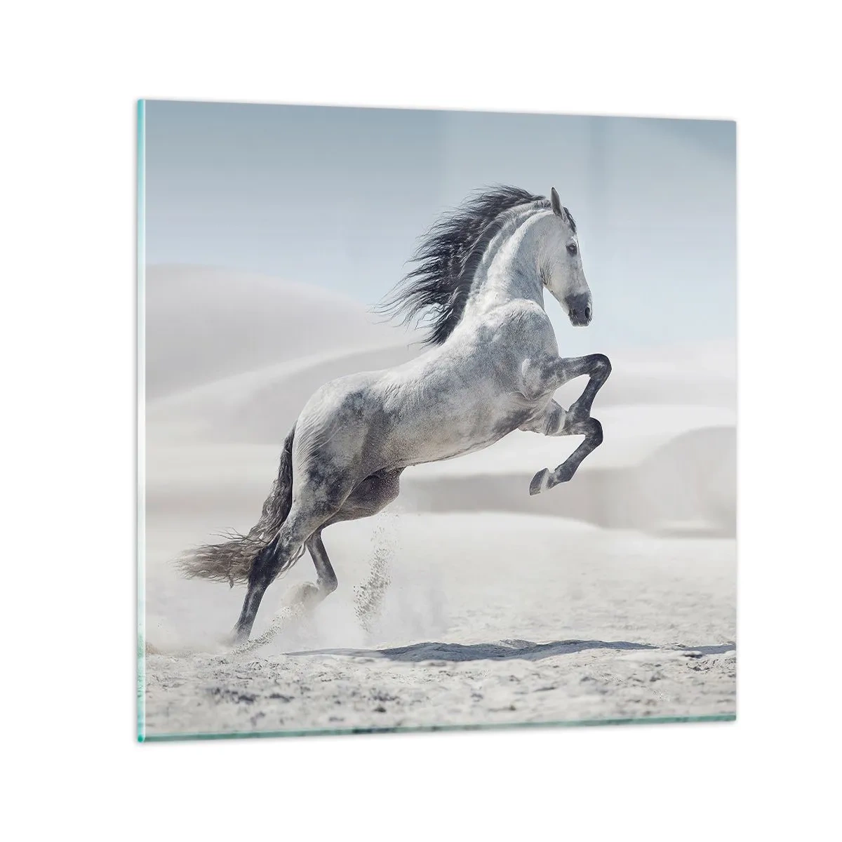 Tablou pe sticlă - Prinț arab - 60x60 cm