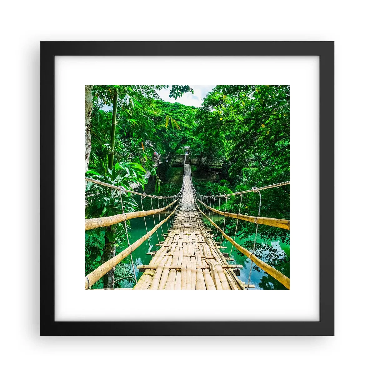 Poster în ramă neagră - Pod de maimuțe peste verdeață - 30x30 cm