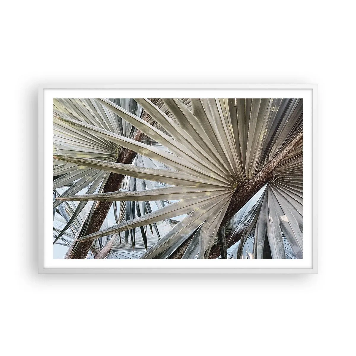 Poster în ramă albă - Evantaie din tropice - 91x61 cm