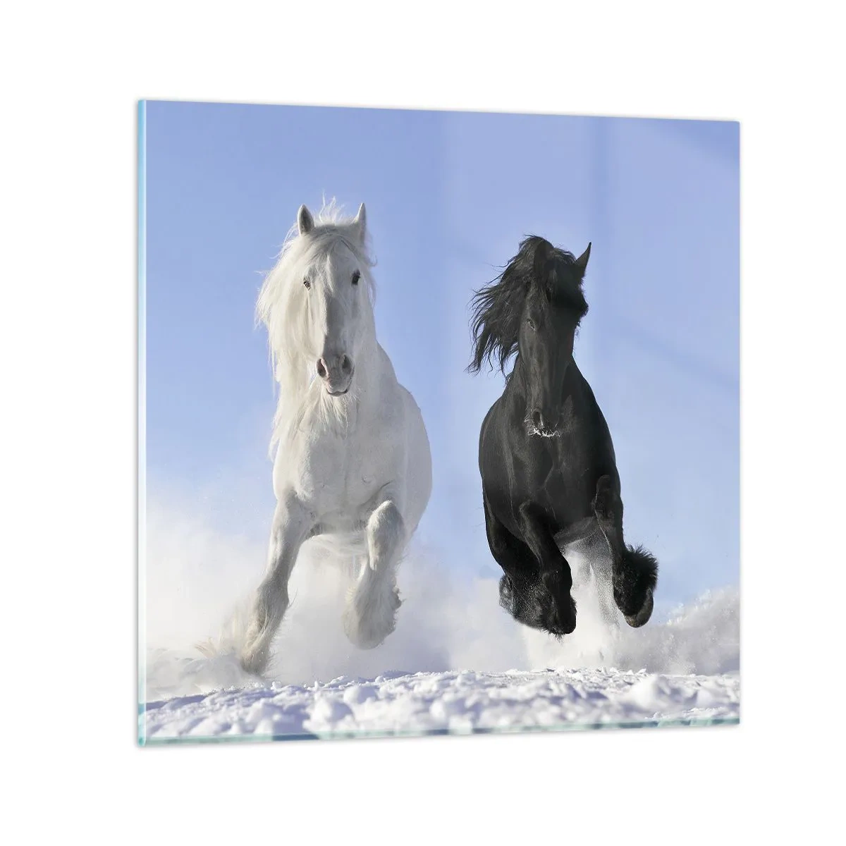 Tablou pe sticlă - Galop de alb și negru - 70x70 cm