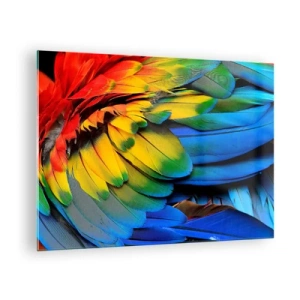 Tablou pe sticlă - Pene de papagal colorate în culori intense ale curcubeului - 70x50cm - Pasăre de paradis - Decorațiune modernă pentru perete pentru living și dormitor ARTTOR