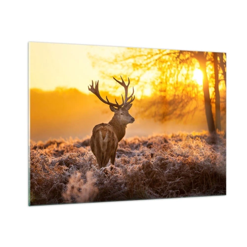 Tablou pe sticlă - Regele pădurii de toamnă - 100x70 cm