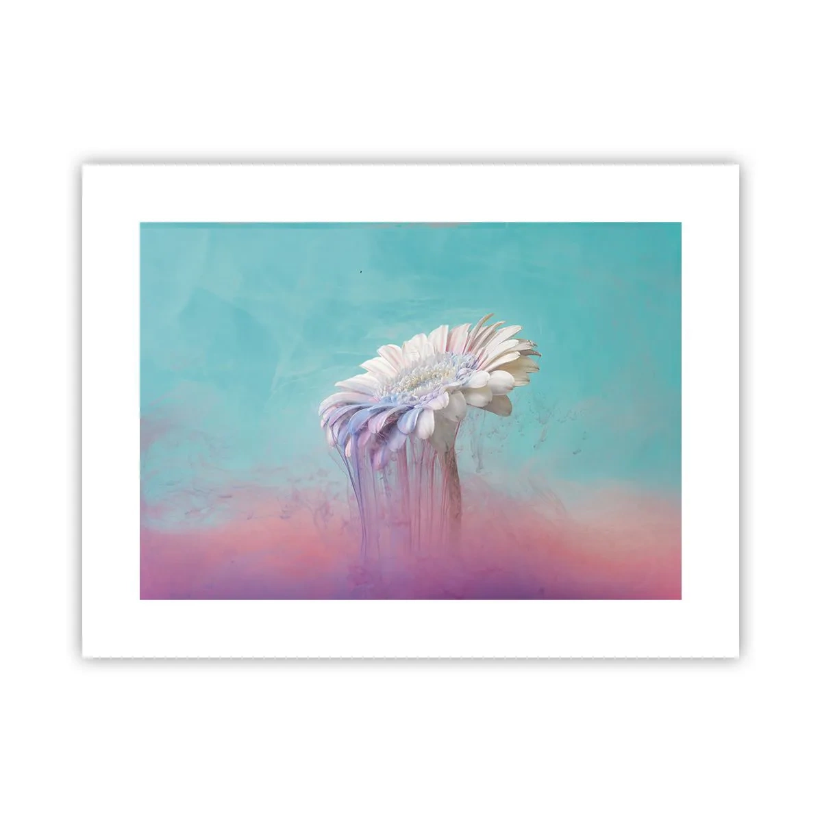 Poster - Viața de după flori - 40x30 cm