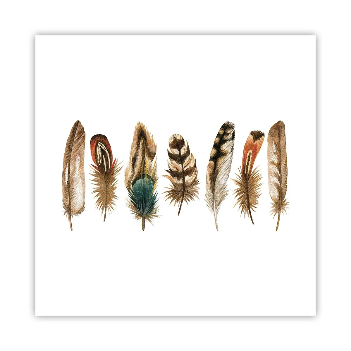 Poster - Variație cu pene - 40x40 cm