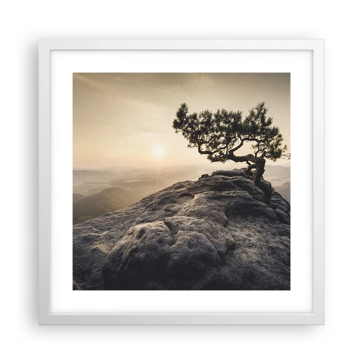 Poster în ramă albă - Viața învinge întotdeauna - 40x40 cm