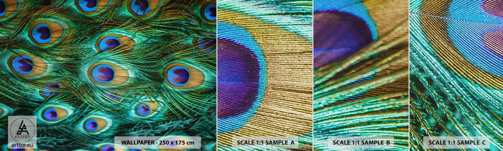 Mostră tapet Premium Canvas - O privire cu ochi de păun - Abstracția, Pene de păun, Pană de pasăre - 100x30 cm