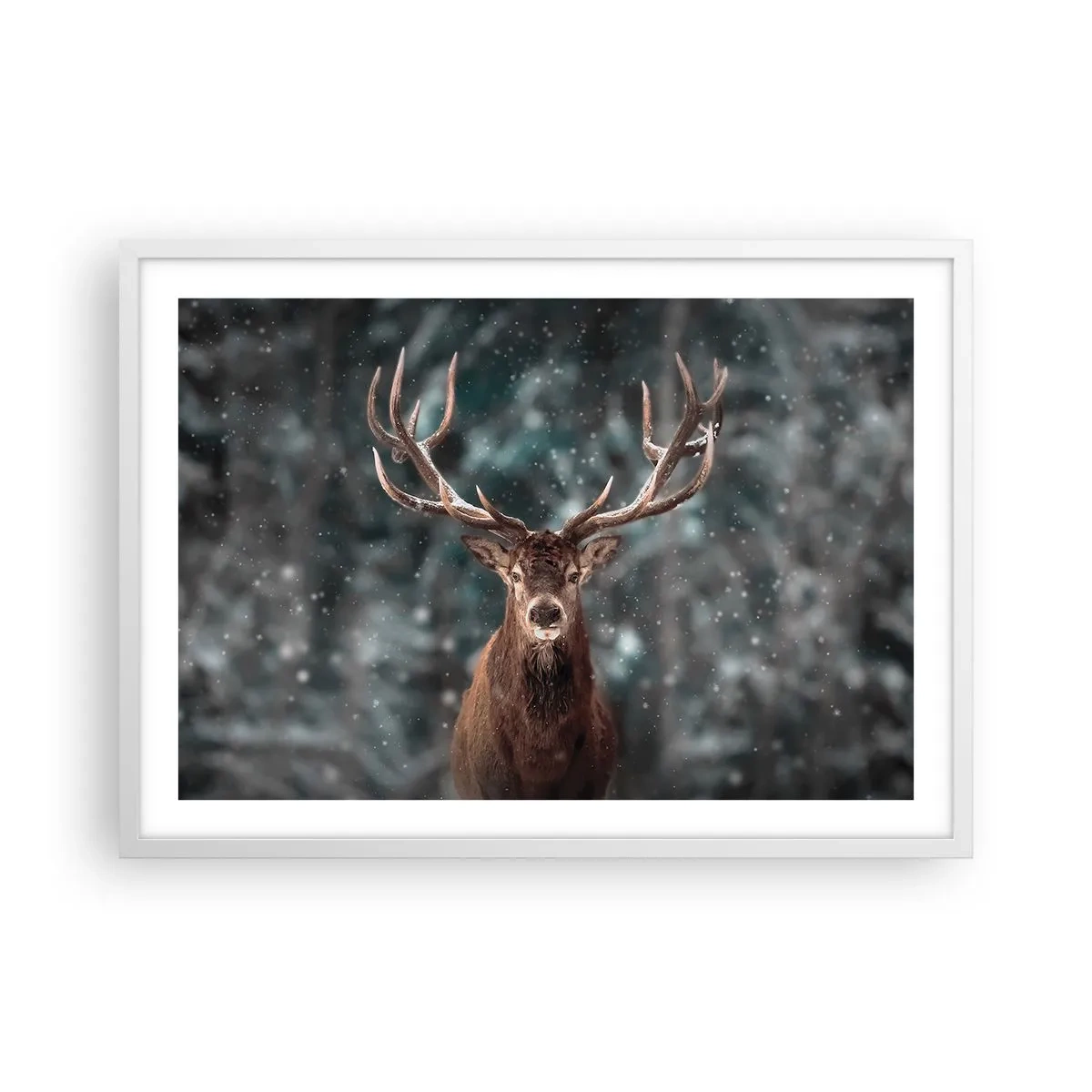 Poster în ramă albă - Regele pădurii a fost încoronat - 70x50 cm