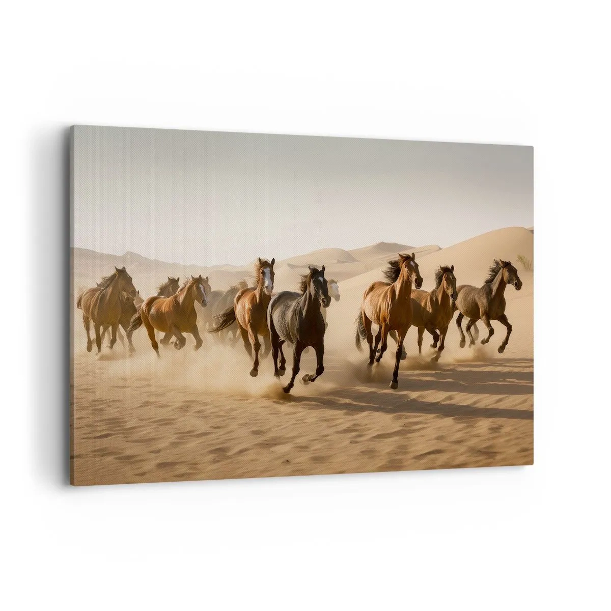 Tablou pe pânză - Liberi ca vântul - 100x70 cm