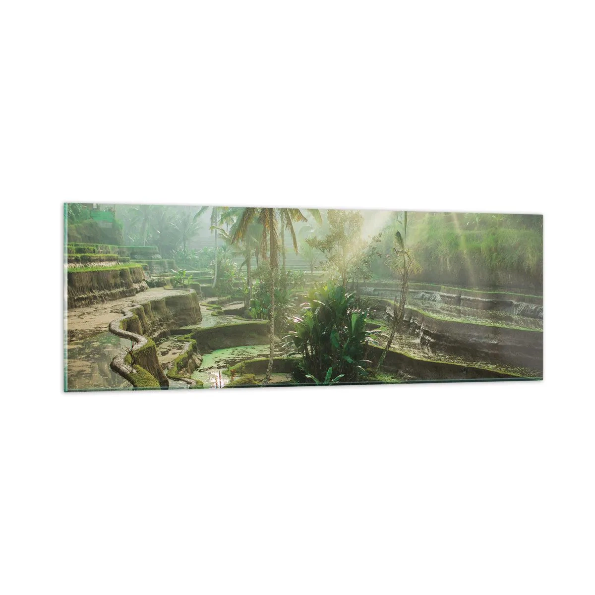 Tablou pe sticlă - Crescând la soare - 90x30 cm