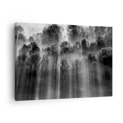 Tablou pe pânză Canvas - Pădure alb-neagră în lumina dimineții - 70x50cm - În fluxuri de lumină - Decorațiune modernă pentru perete pentru living și dormitor ARTTOR