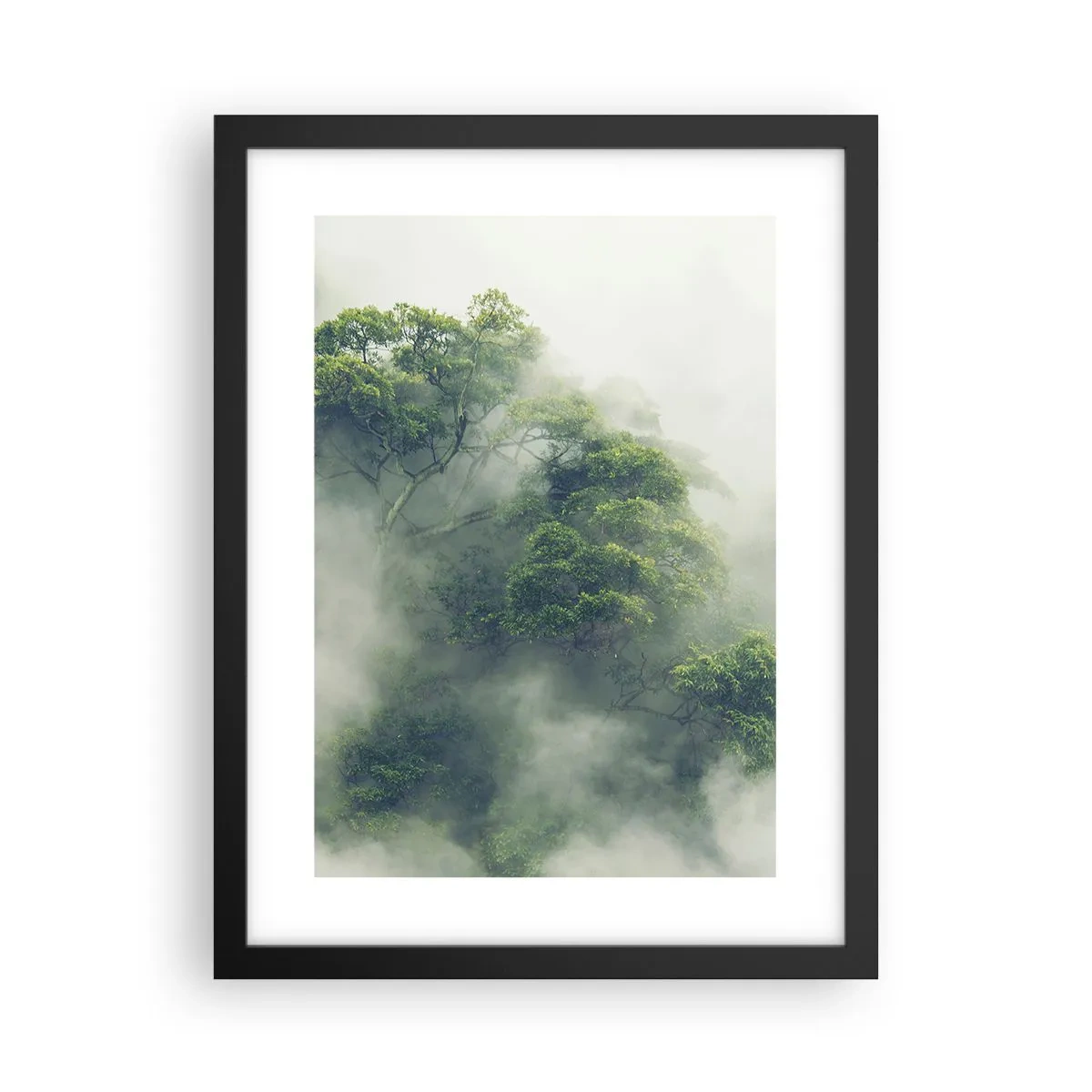 Poster în ramă neagră - Înfășurate în ceață - 30x40 cm