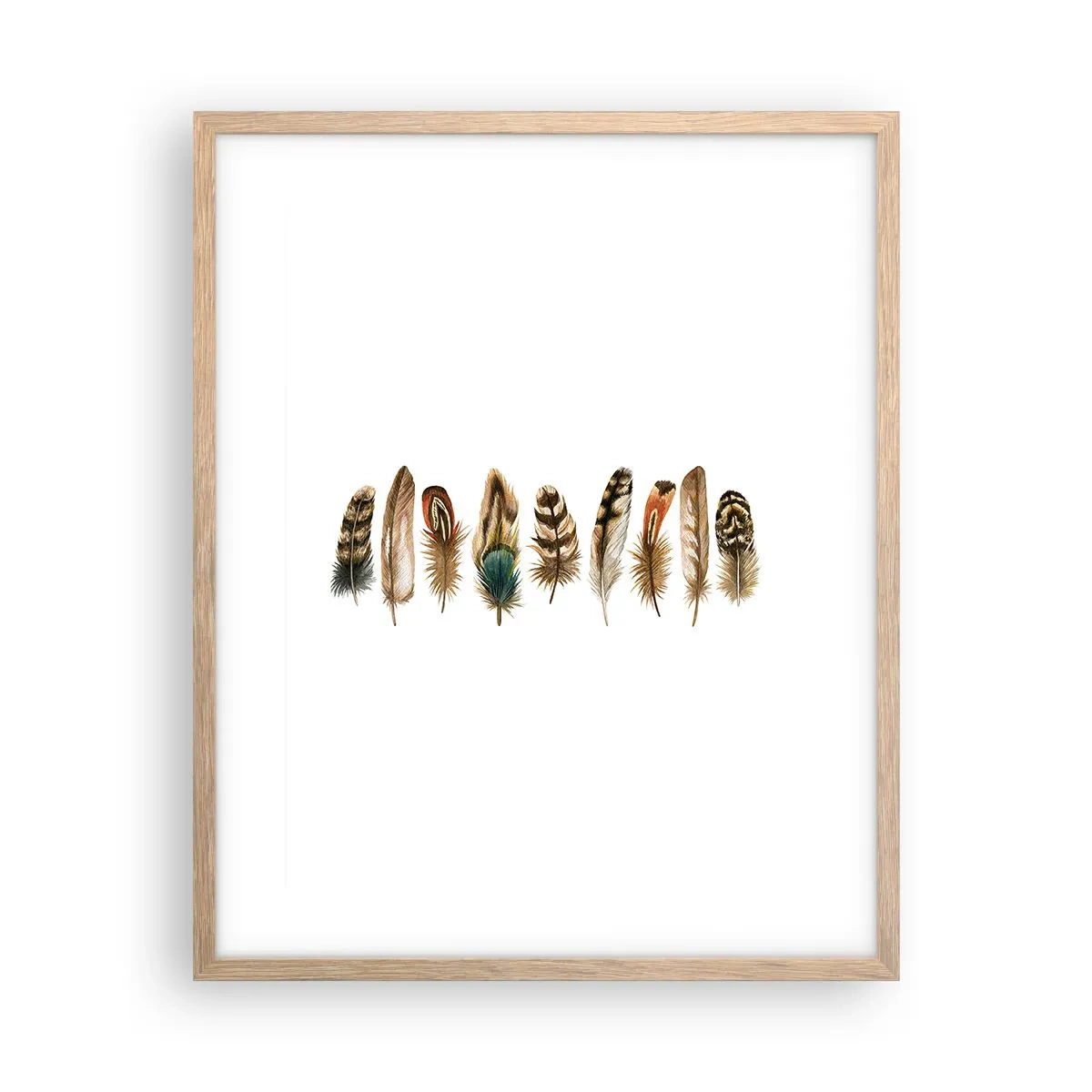 Poster în ramă de stejar deschis - Variație cu pene - 40x50 cm