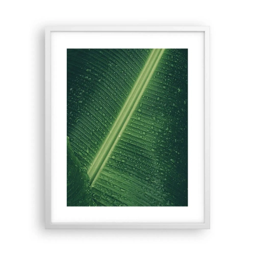 Poster în ramă albă - Structura verdelui - 40x50 cm