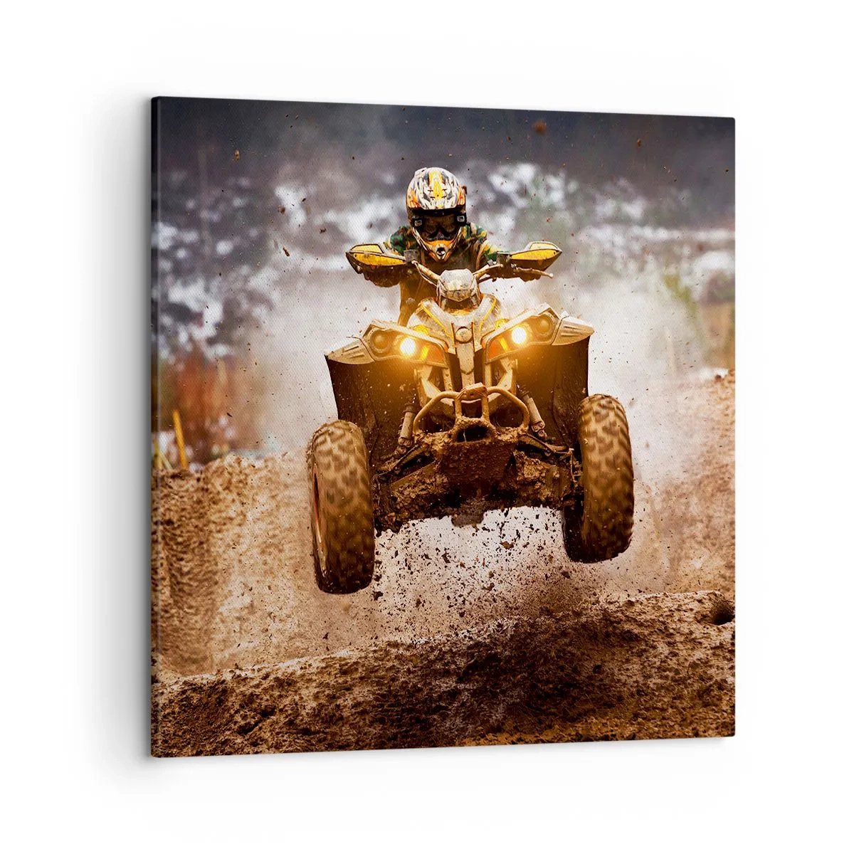 Tablou pe pânză - No risk no fun - 50x50 cm