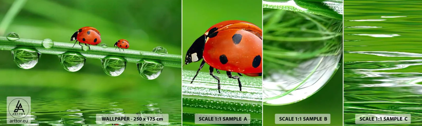 Mostră tapet autocolant Deluxe Sticker - Pe drum toată vara - Buburuza, O picătură de apă, Natură - 100x30 cm