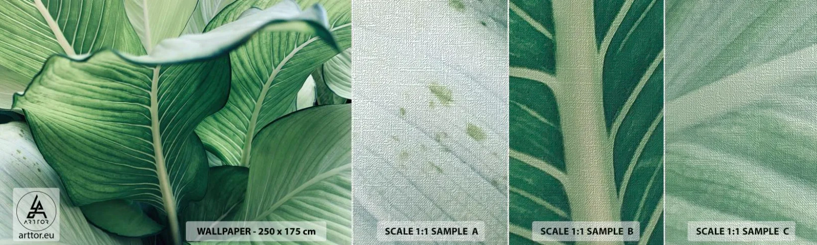 Mostră tapet Premium Canvas - Viață intensă în verde - Frunze, Exotic, Botanic - 100x30 cm