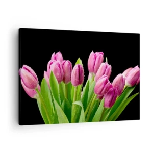 Tablou pe pânză Canvas - Lalele roz cu picături de rouă pe fundal negru - 70x50cm - Bucurie de liliac de primăvară - Decorațiune modernă pentru perete pentru living și dormitor ARTTOR
