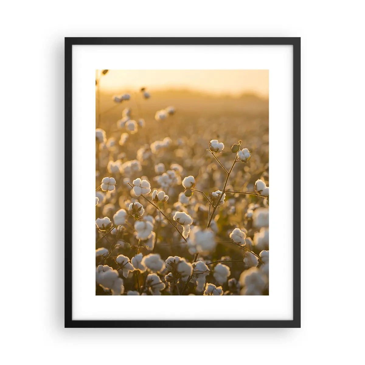 Poster în ramă neagră - Câmp pufos - 40x50 cm