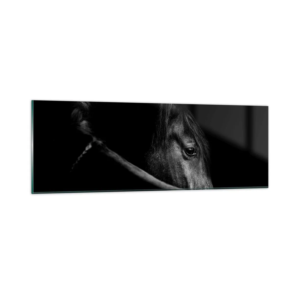 Tablou pe sticlă - Prințul negru - 90x30 cm